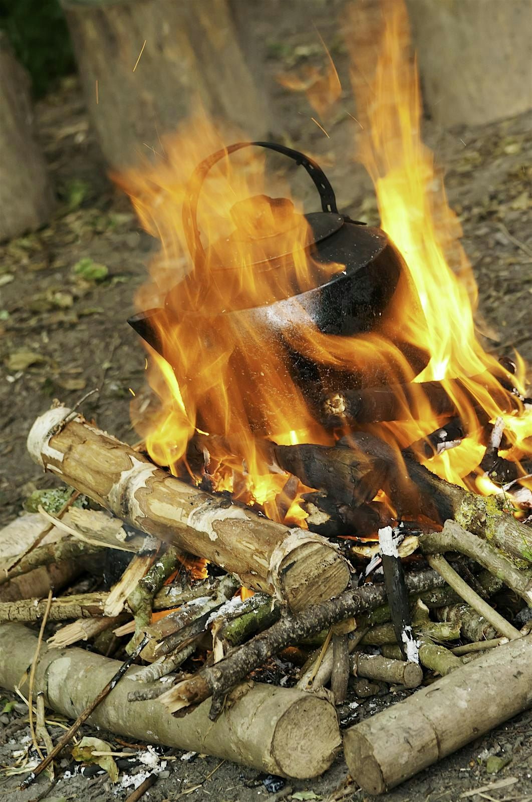 Urban Nature Club at Sydenham Hill Wood: Bushcraft