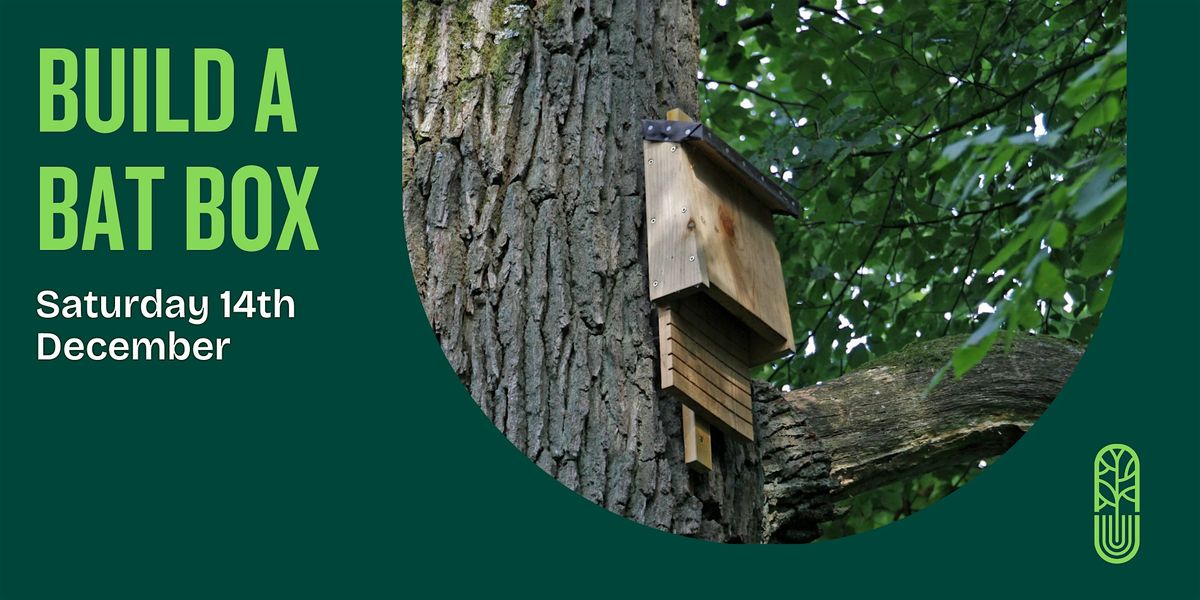 Build a Bat Box at Northern Roots