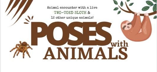 Poses with Animals (Sloth Animal Encounter & Yoga!)