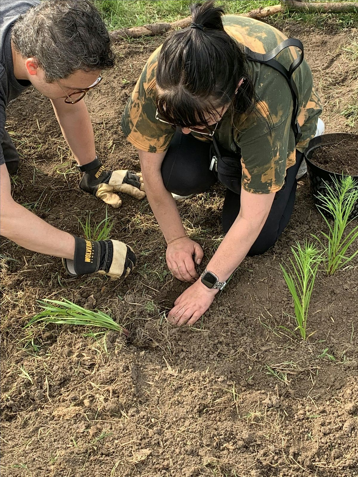 May Garden Volunteer Evening