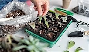 Plant Propagation Workshop