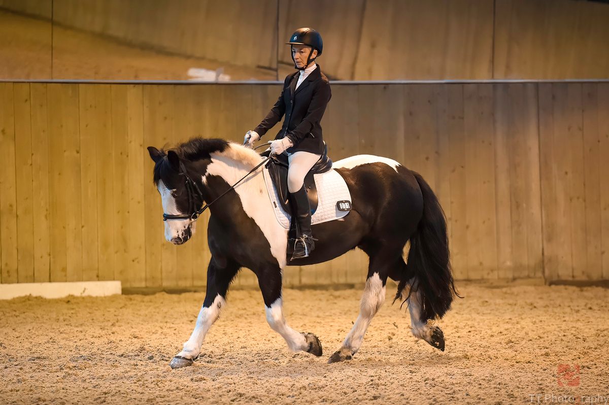 NWSC Dressage at Brook Stud