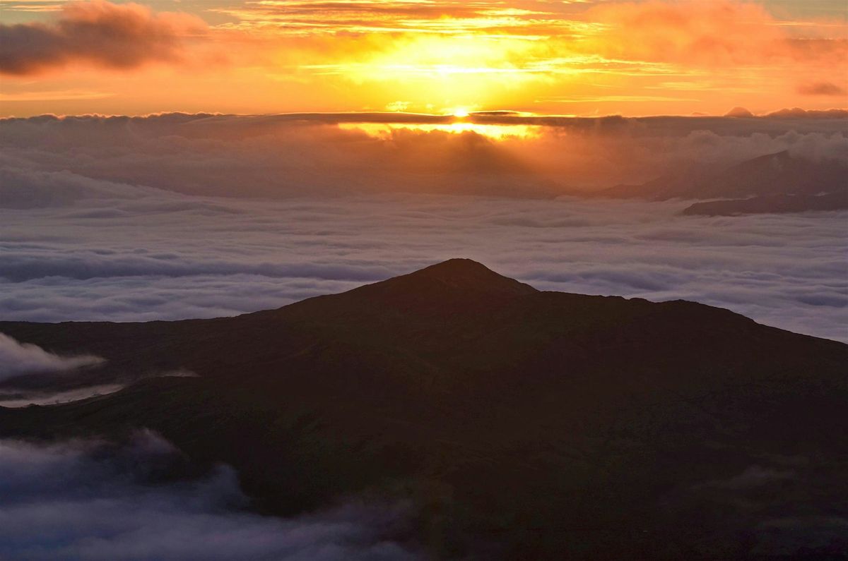 Sacred Encounter - Sure Hope