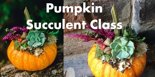 SOLD OUT Pumpkin Succulent Class