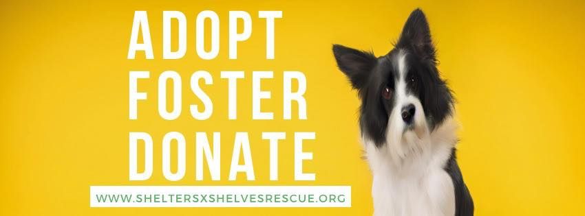 Help us Save Lives! Volunteer & Foster Open House