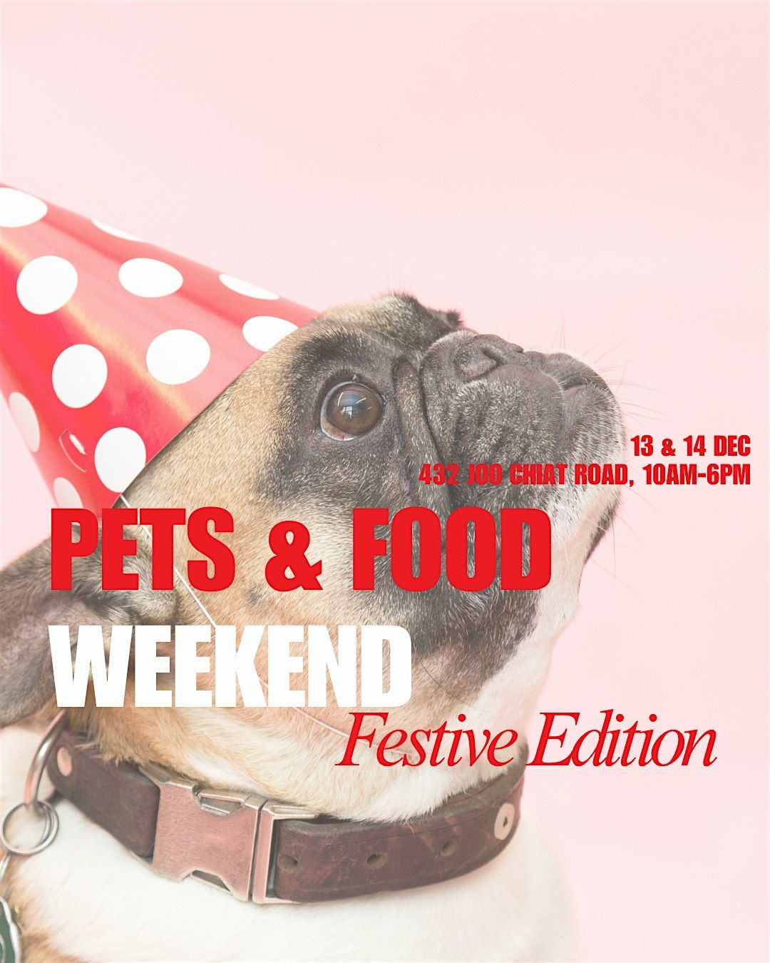Pets & Food Weekend Festive Edition