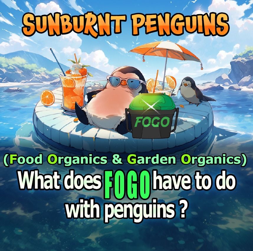 Sunburnt Penguins - FOGO workshop for 9 -13 y.o