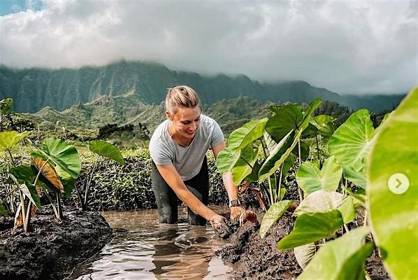 WWE Hawaii - Volunteering at Loi Taro Fields