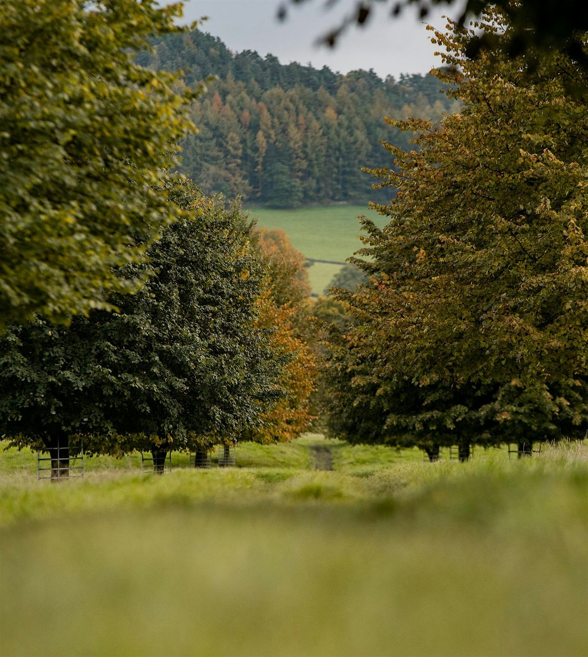 Bakewell Hike Club - 17th December