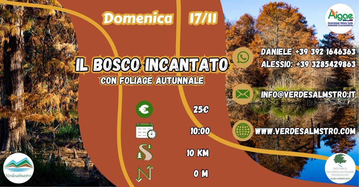 Il Bosco Incantato (con foliage autunnale)