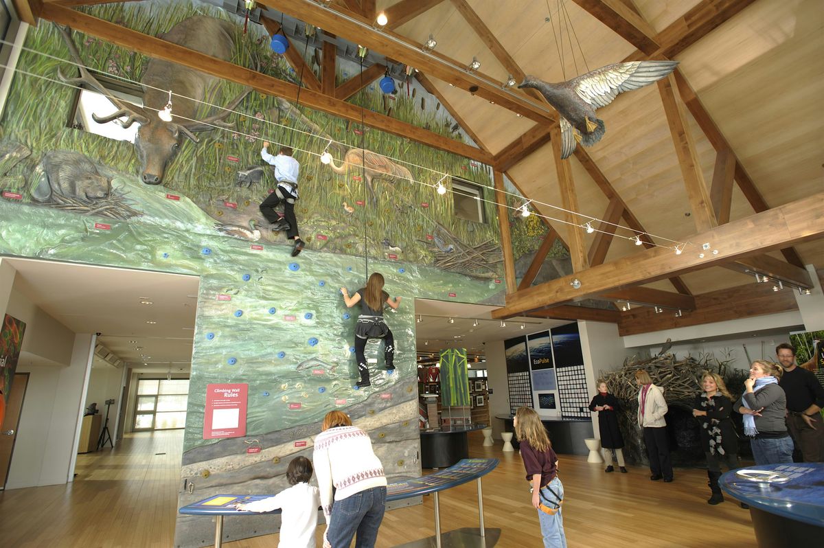Swaner Wetland  Climbing Wall (2025)