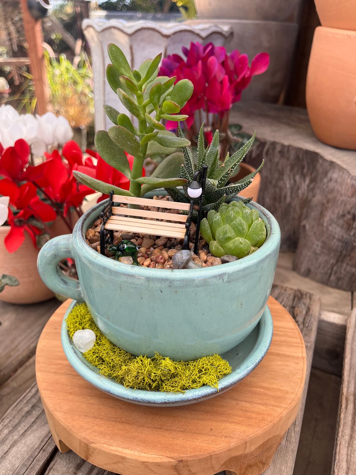 Tea Cup Garden Workshop