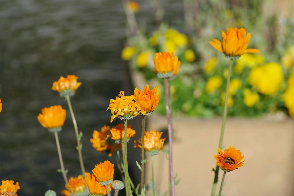 MANTRA COLLECTIVE - ART FOR WELLNESS POP-UP EVENT BY MANTRA MEDIA STUDIO