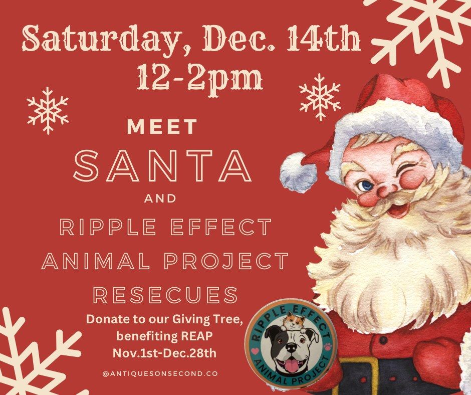 Ripple Effect Animal Project & Santa Visit