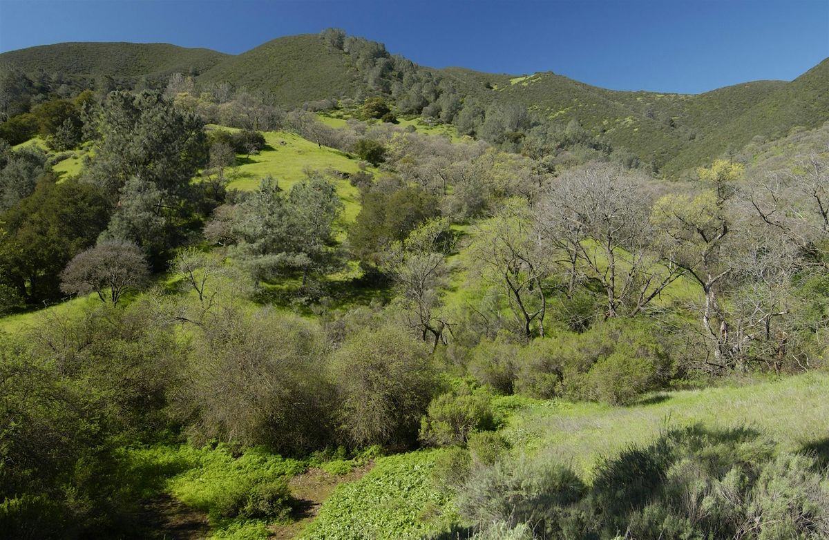 Queerness in Nature: A LGBTQIA+ Hike with Branching Out Adventures
