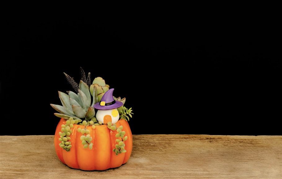 Halloween Centerpiece: Haunted Tabletop Designs