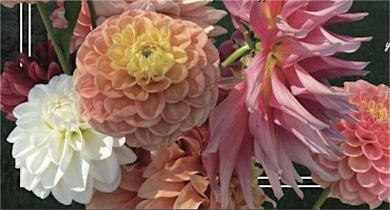 Wappinger Dahlia (Flower) Show