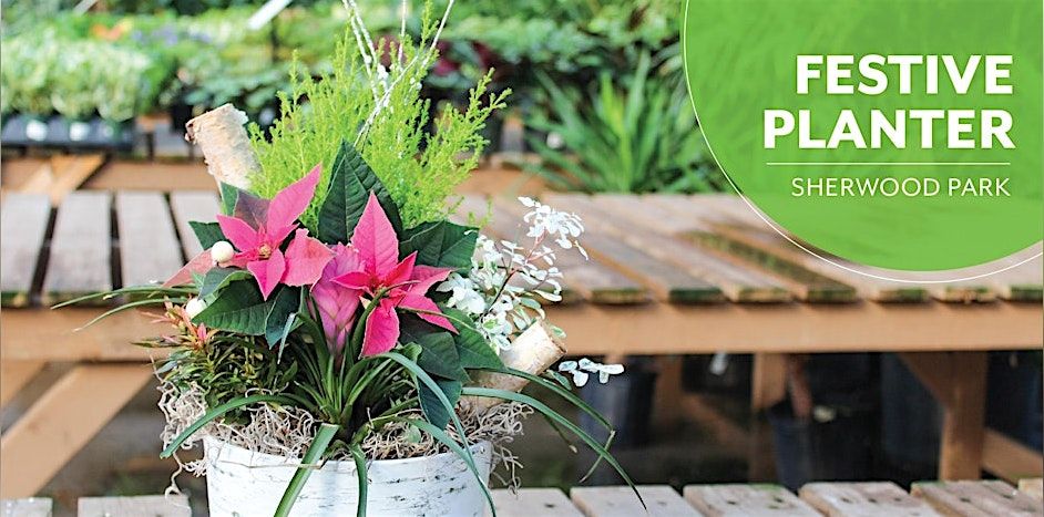 Festive Planter |Workshop  | Salisbury Greenhouse Bay2 | Sherwood Park