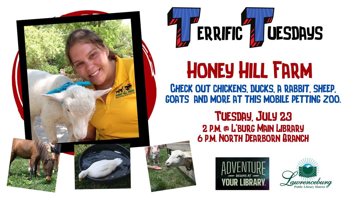 Terrific Tuesday: Honey Hill Farm Petting Zoo