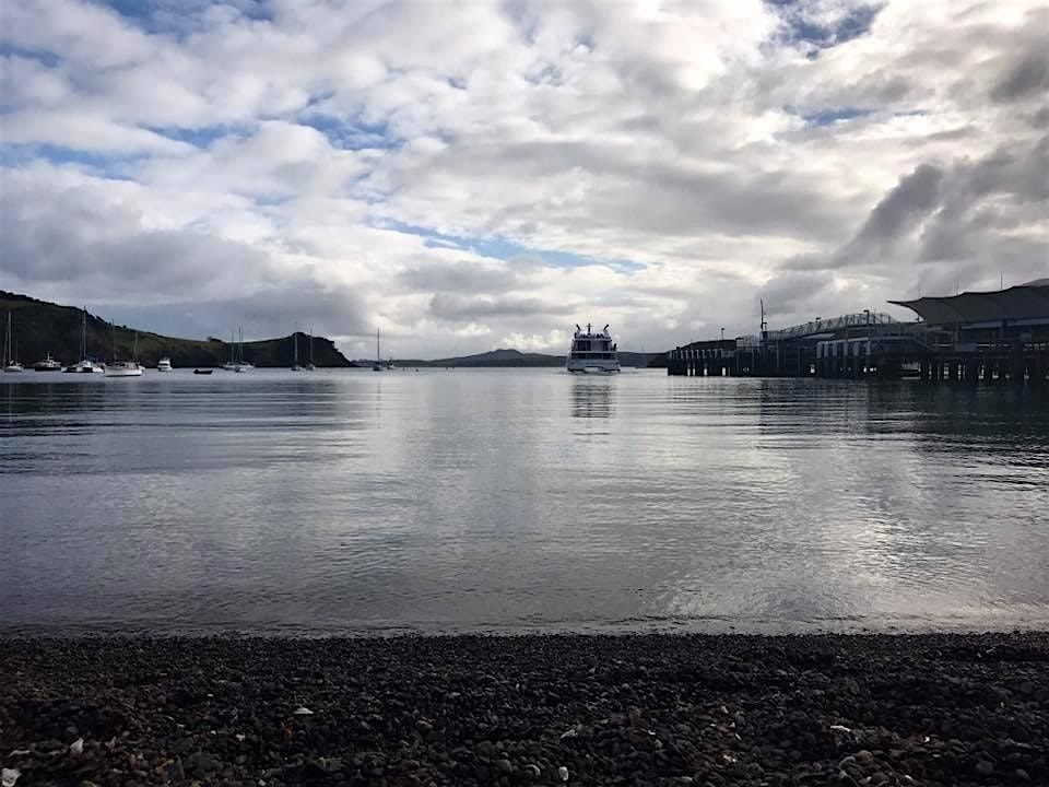 Waiheke Island forage adventure!