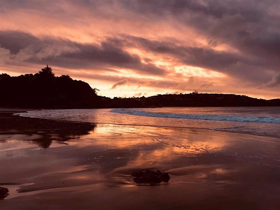 WAIHEKE IS FORAGE  SAT 30 AUG 2025