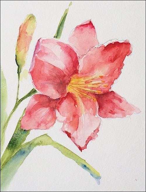 WINE AND WATERCOLOR - LILIES