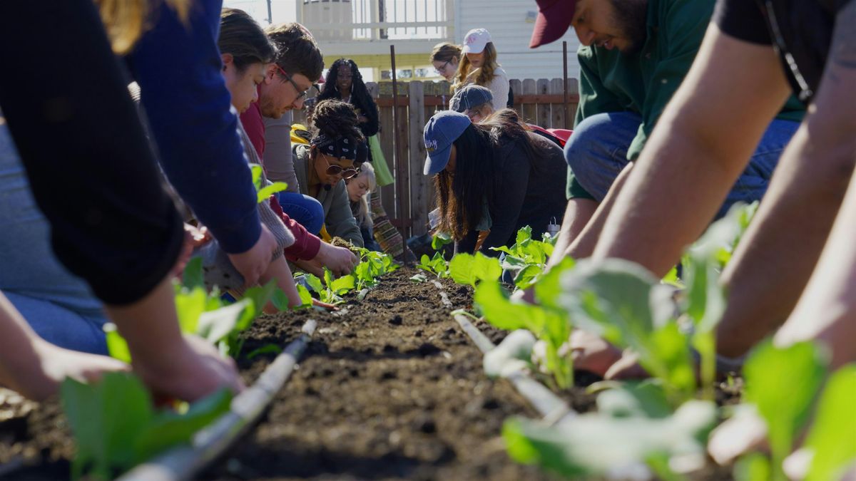 Three Sisters Gardens Fall Skills Share