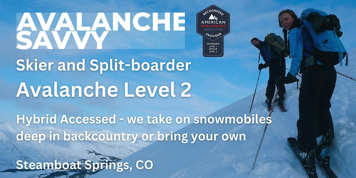 Avalanche Level 2: for Skiers and Split-boarders