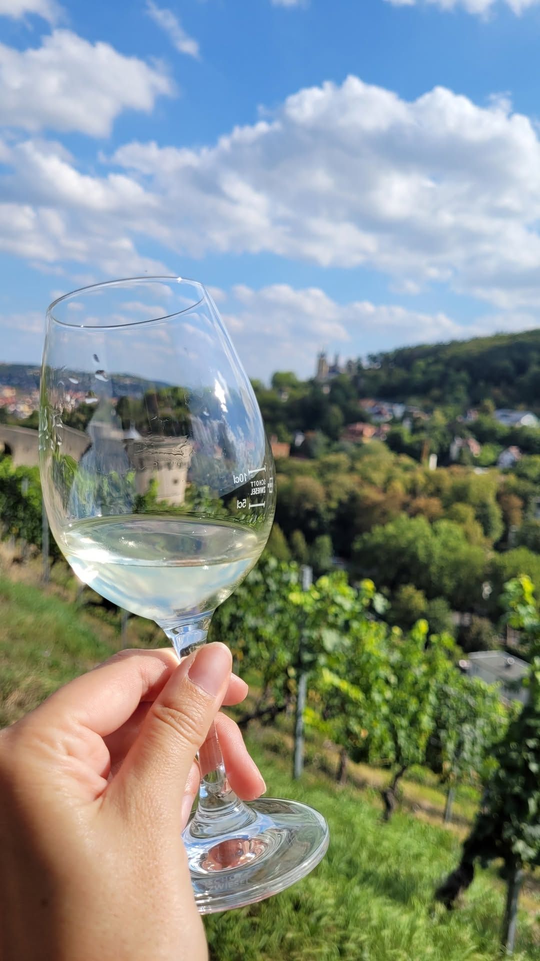 Weinspaziergang ab der Festung Marienberg