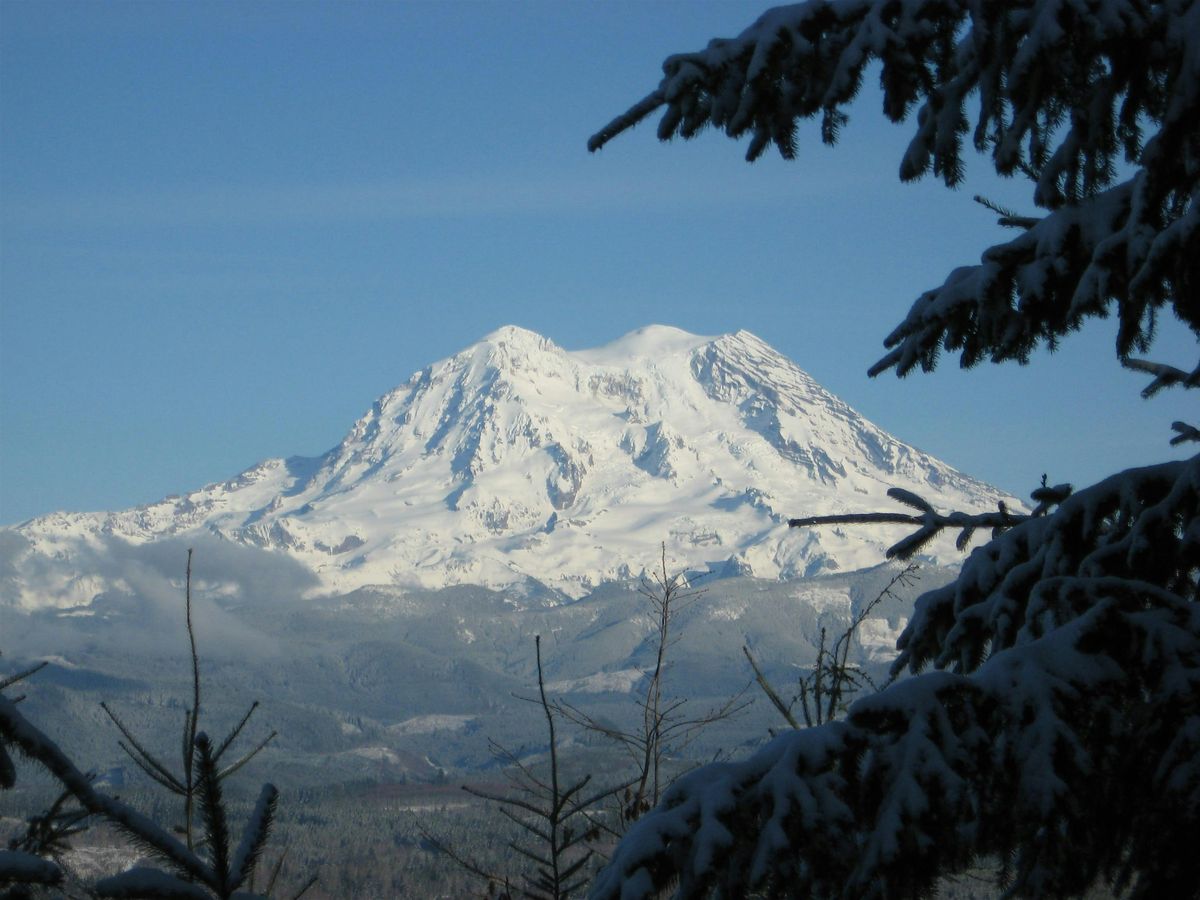 2025 Southwest Washington Forest Owners' Winter School