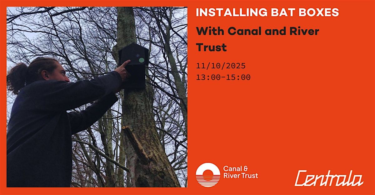 Installing Bat Boxes Along the Canals in Digbeth with Canal & River Trust