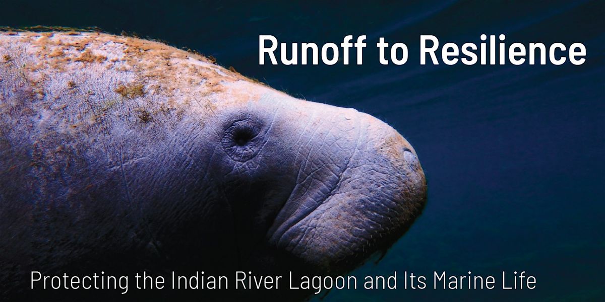 Runoff to Resilience: Protecting the Indian River Lagoon