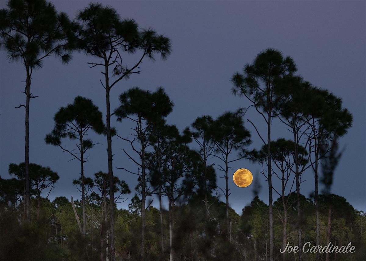 Members-Only: Night Hike