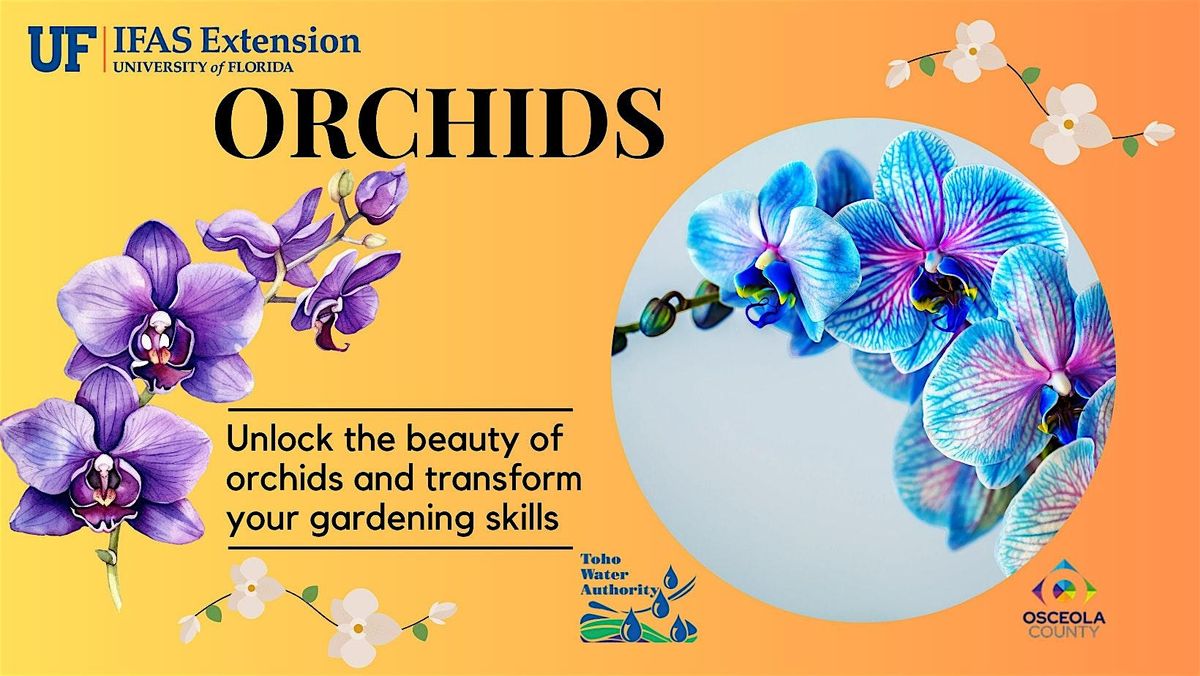 Orchids    - Wednesday, March 5,       1:00 pm