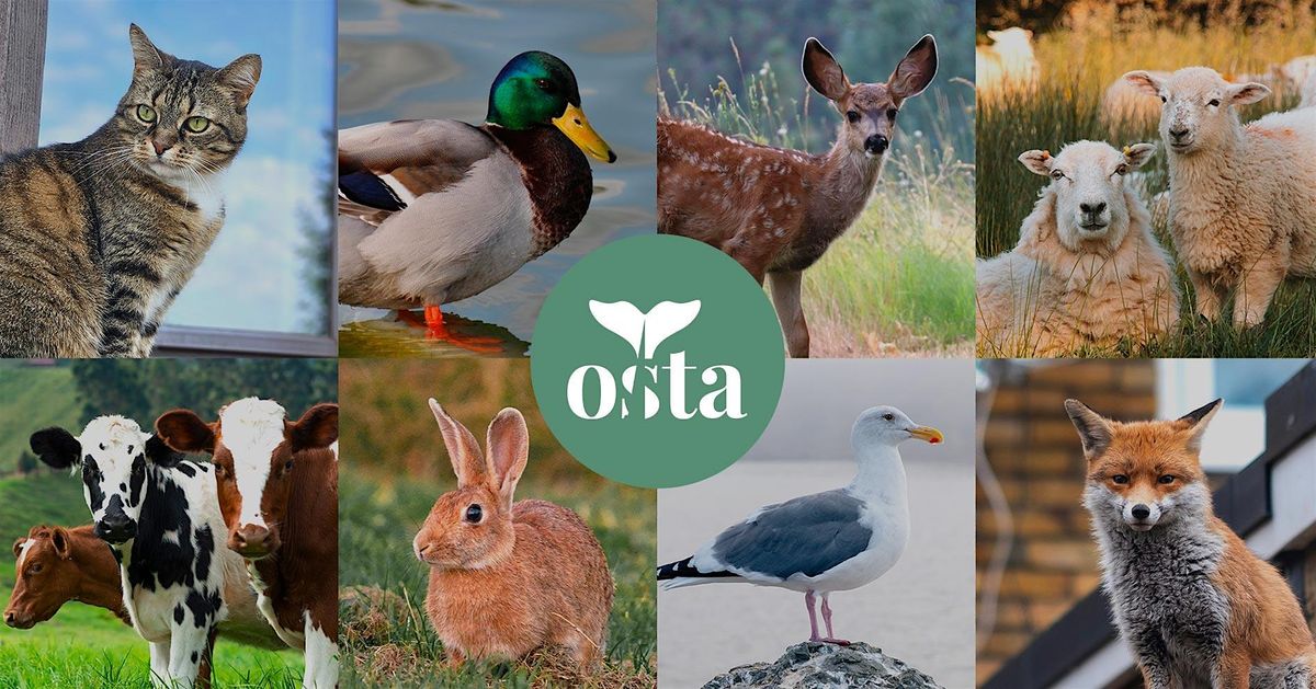 OSTA Talks Flanders 3:  Living with Animals in the City
