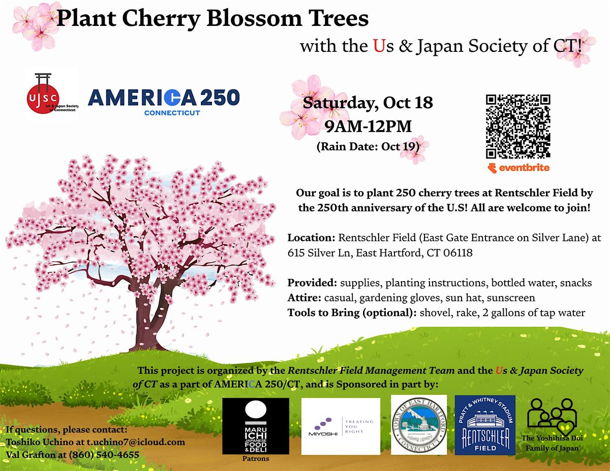 Plant Cherry Blossom Trees