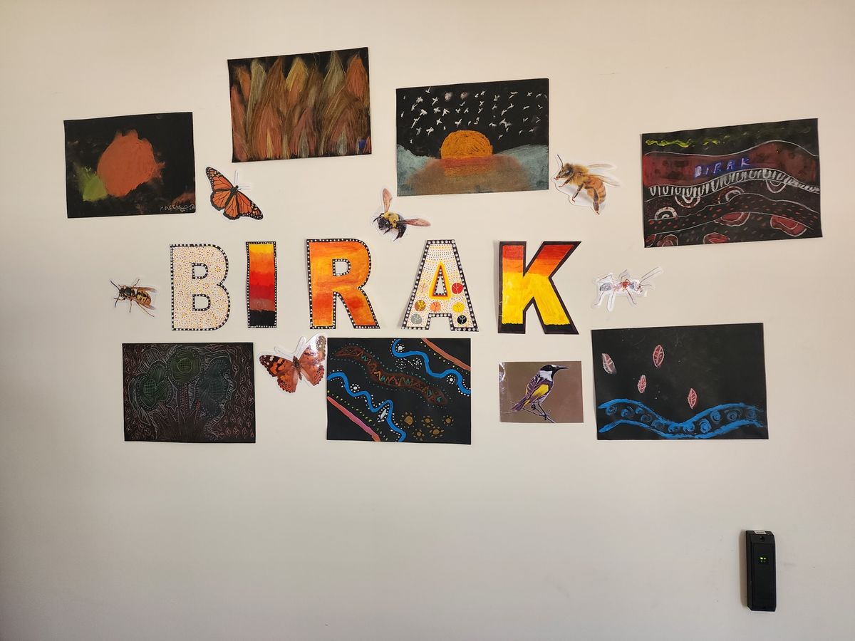 Birak Art and Deadly Science