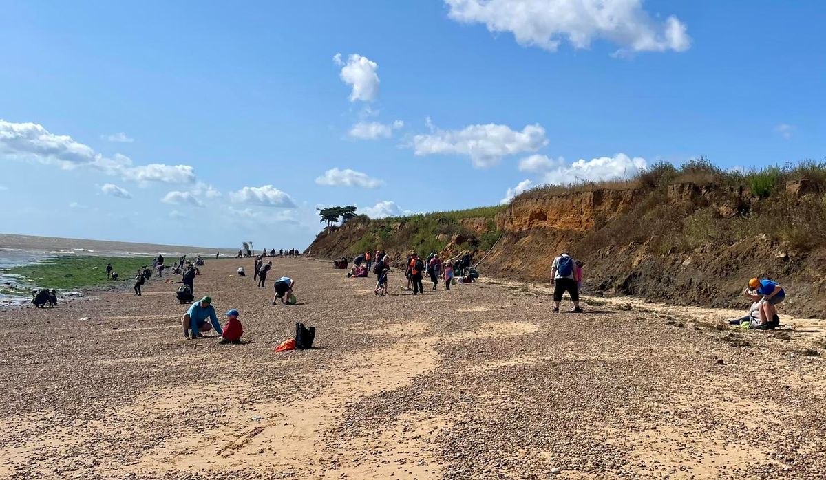 Fossil Hunting Meg Beach