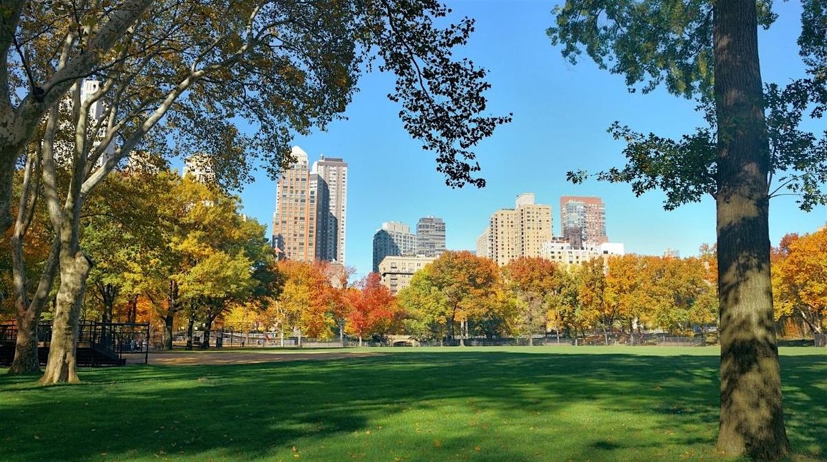 Weekly NYRR Striders Walking Group IN-PERSON PROGRAM