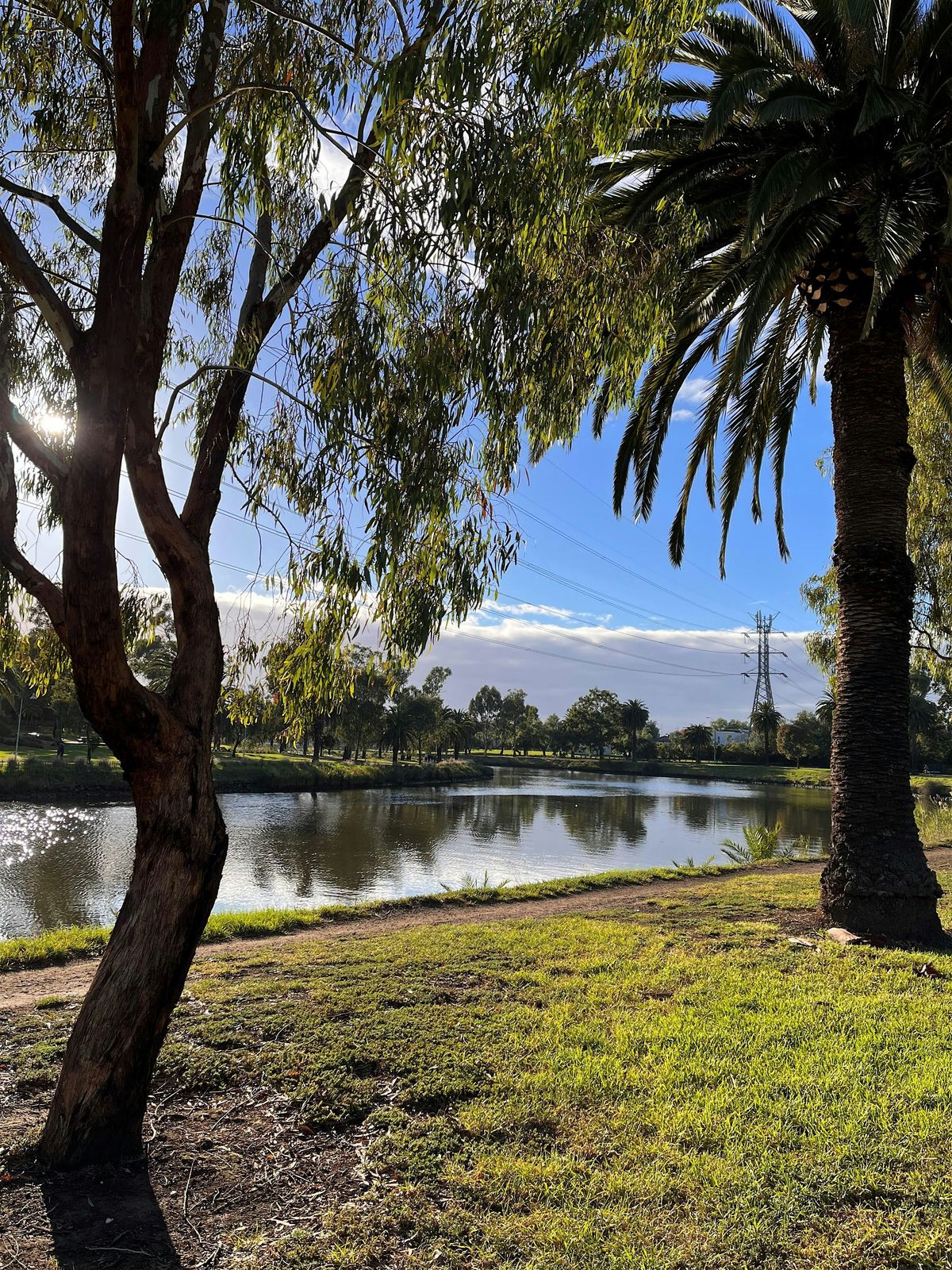 Maribyrnong River Trail - A Singles Social Walk