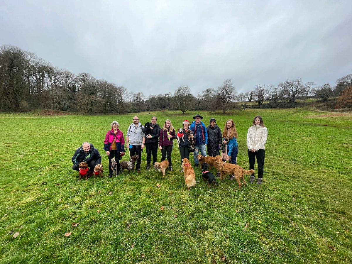 Jurassic Bark Pack Walk Bristol