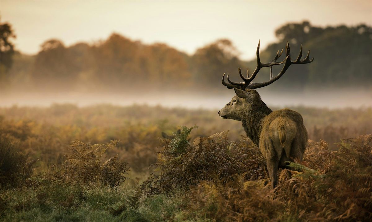 Henry's Winnipeg  Wildlife Photography Workshop