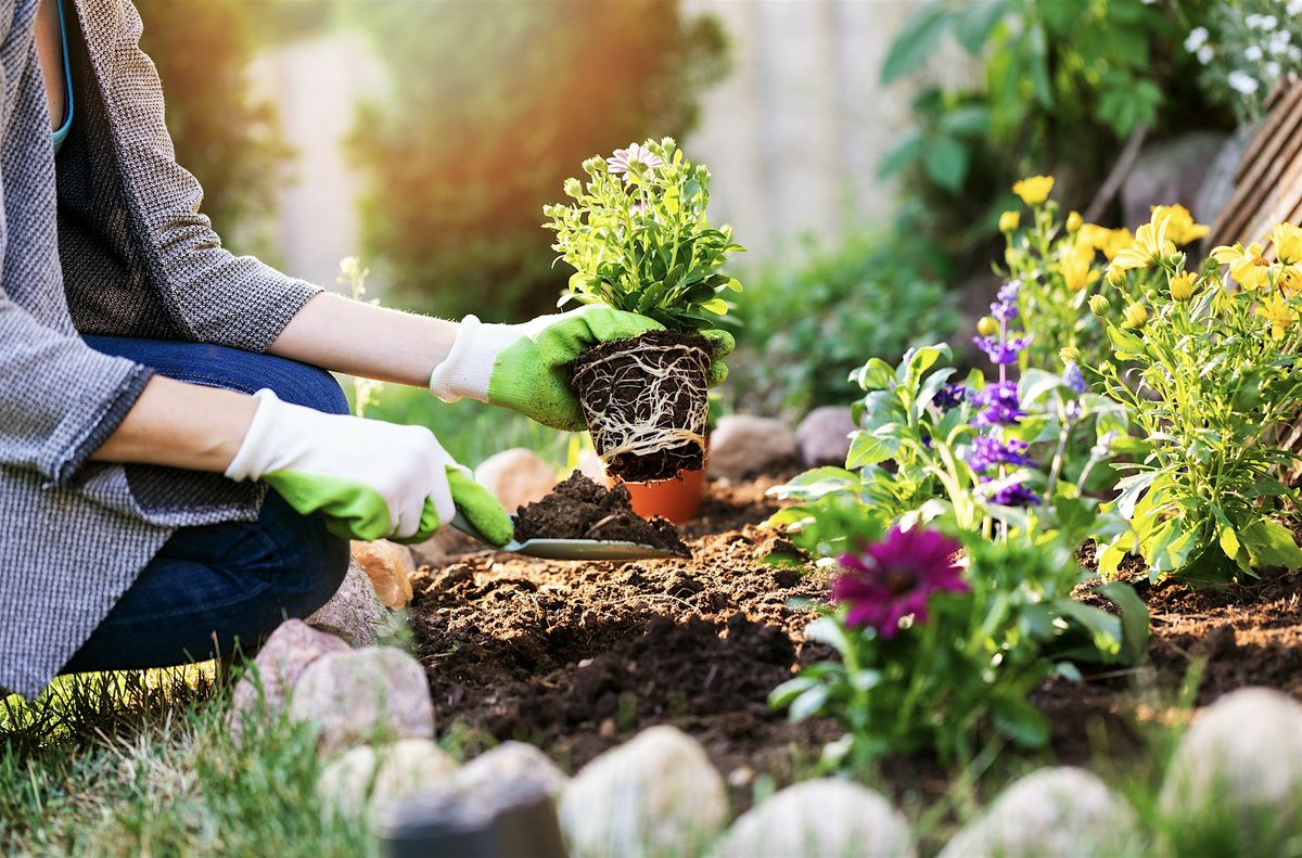 SC Native Plants For Stormwater Management In The Home Landscape