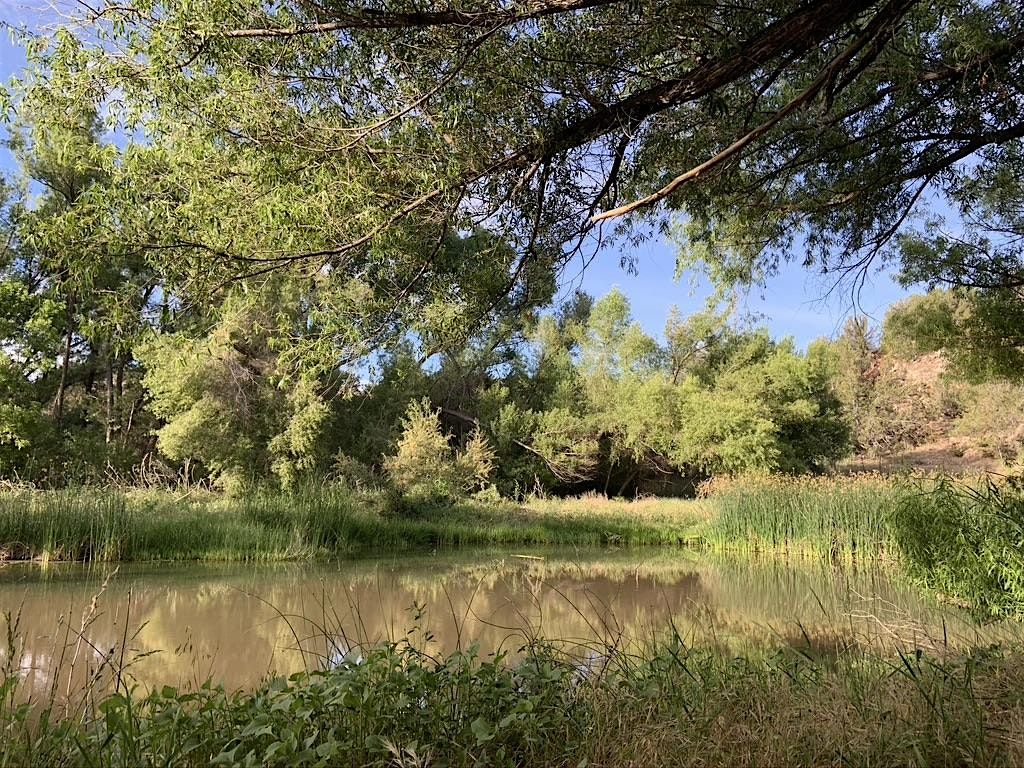 Protecting the Upper Verde River: A Community Dialogue