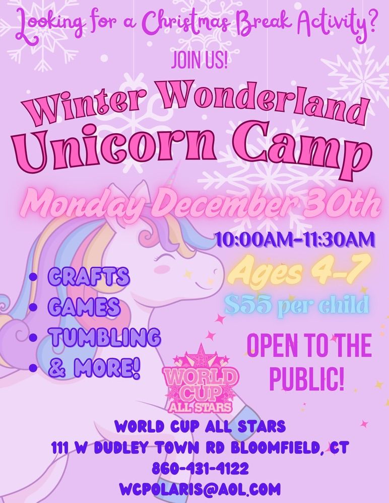 Winter Wonderland Unicorn Camp!