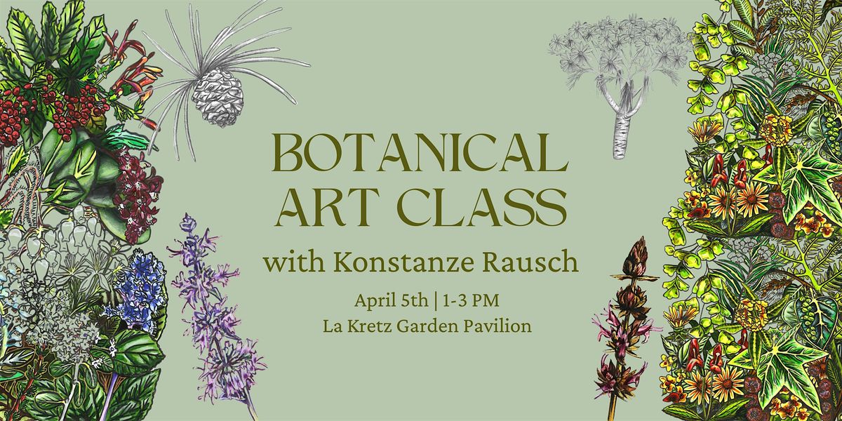 Botanical Art Class