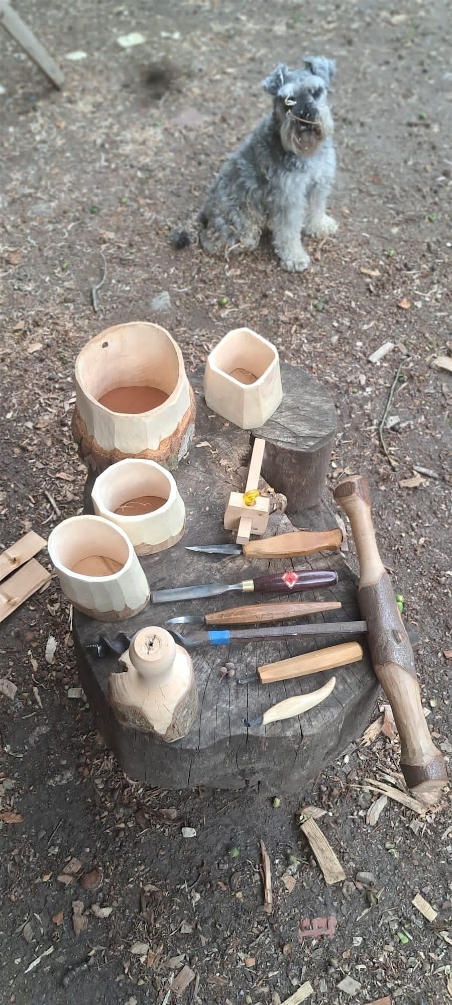 Wood Whittling for Wellness at Wardown Park