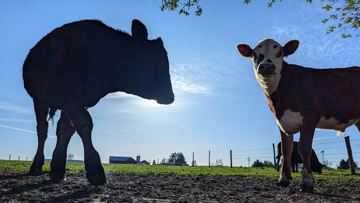 Cow Cruise Agricultural Coalition Kick-Off