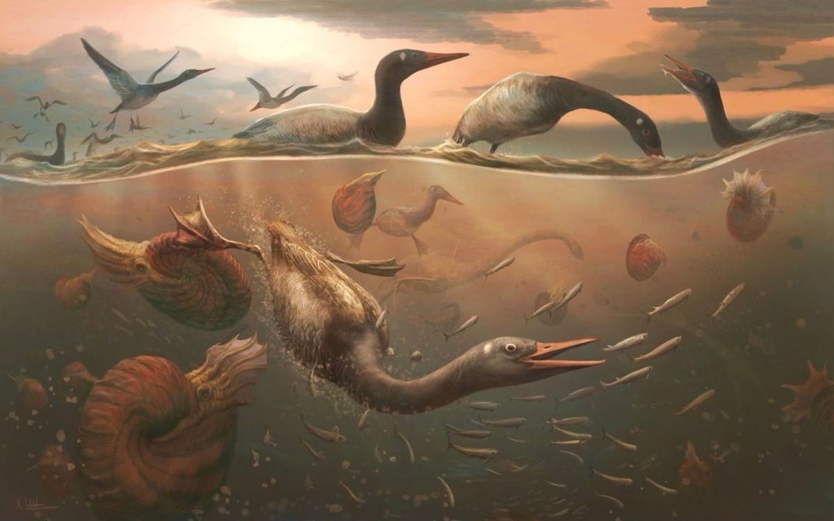 Birds across the end Cretaceous mass extinction