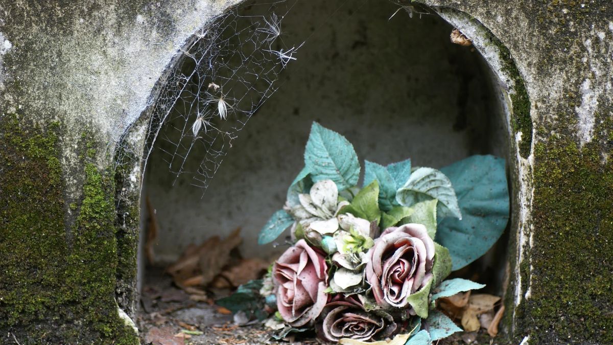 Forgotten Lives: Masterton Cemetery - FULLY BOOKED